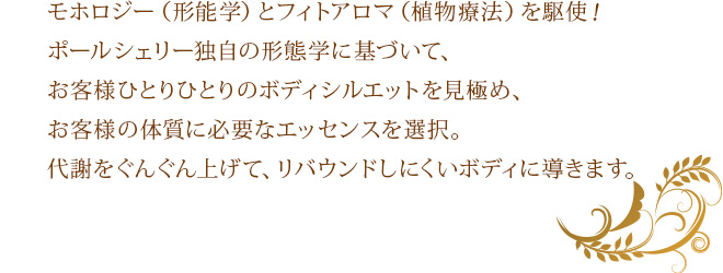 ポールシェリーのモホロジー（形能学）とフィトアロマ（植物療法）を駆使して、お客様ひとりひとりのボディシルエットを見極め、セルライト・脂肪・水分など太る原因を追究。代謝をぐんぐん上げて、リバウンドしにくいボディに導きます。