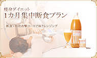 1カ月集中断食プラン